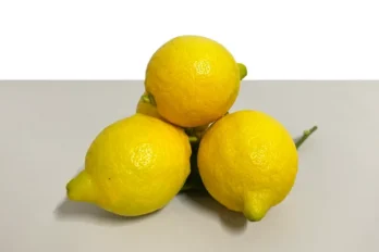 Limoni Pugliesi